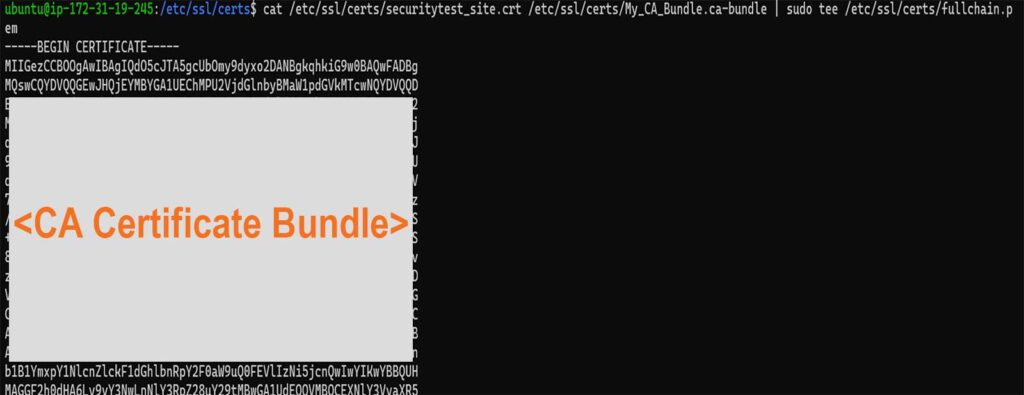 A redacted example of a CA certificate bundle