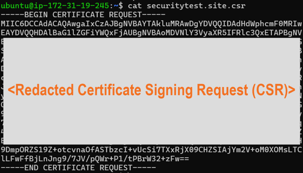 A redacted example of a certificate signing request (CSR)