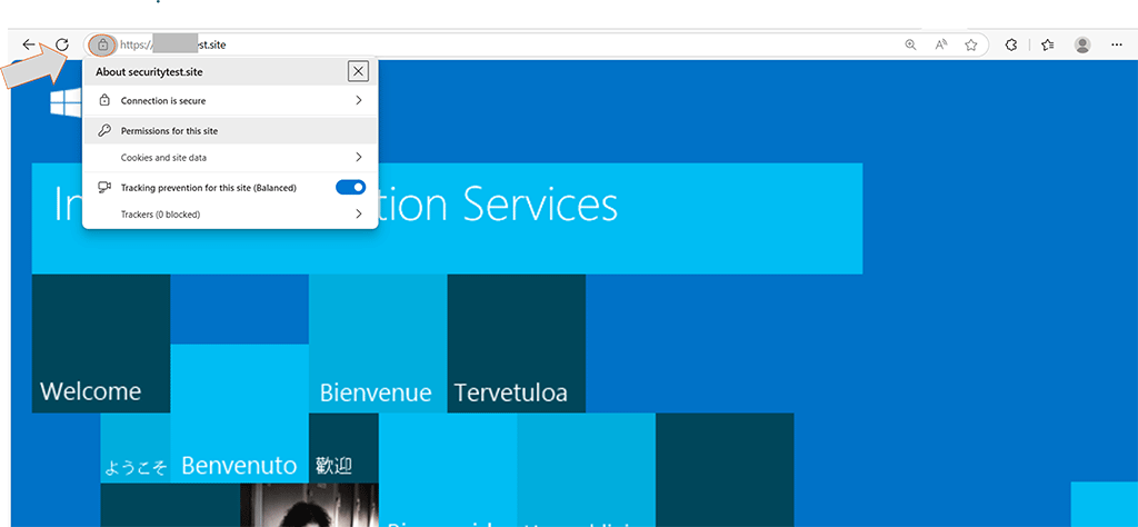 Site test to see if it's secure after an SSL/TLS certificate was installed