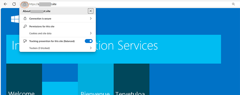An example of a secure connection in a browser