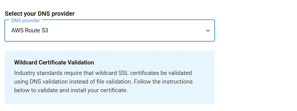 A demostration of where to select your DNS provider in CertPanel
