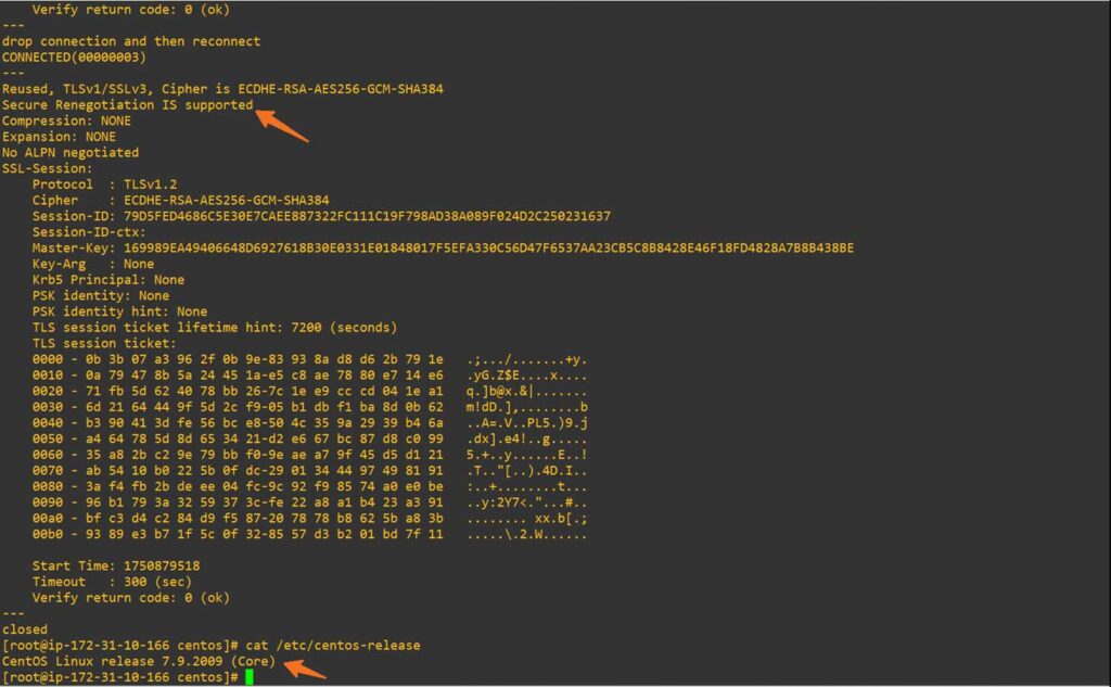 A screenshot showing that NGINX secure renegotiation IS supported on an Apache CentOS server