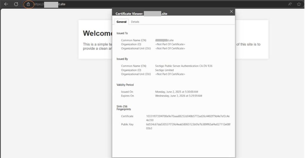 A demonstration of checking the domain to esure an SSL certificate was properly installed using AutoInstall SSL